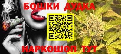 молекула духа Будённовск