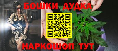 молекула духа Будённовск