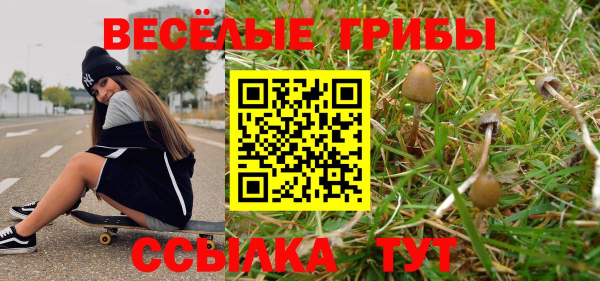 Псилоцибиновые грибы мицелий  Галлюциногенные грибы GOLDEN TEACHER  даркнет сайт  Петрозаводск  Вход с VPN 