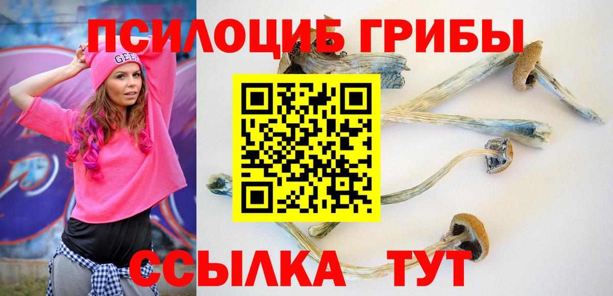 Галлюциногенные грибы мицелий Петрозаводск